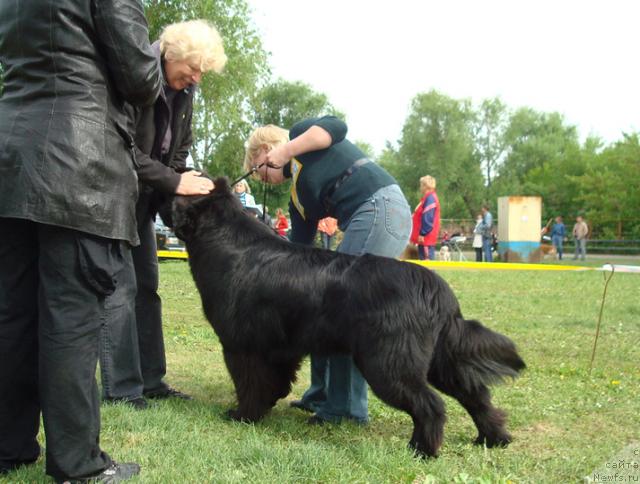 Фотография № 43262