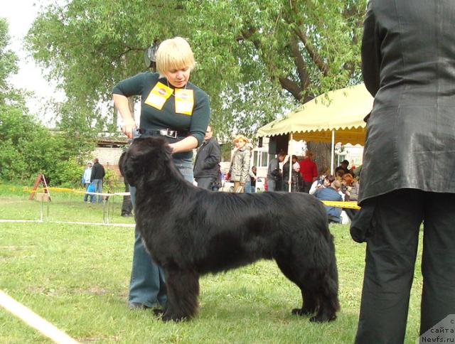 Фотография № 43263