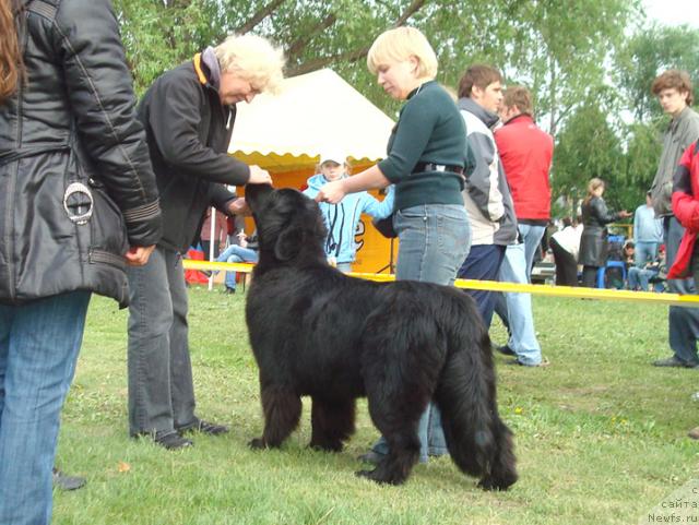 Фотография № 43264