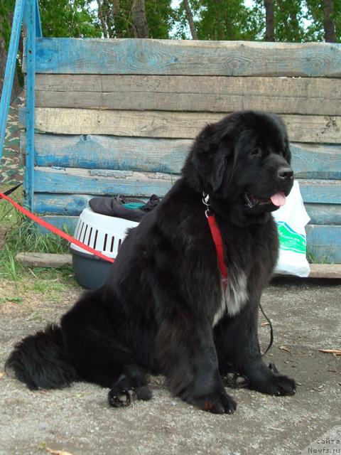 Фотография № 43265