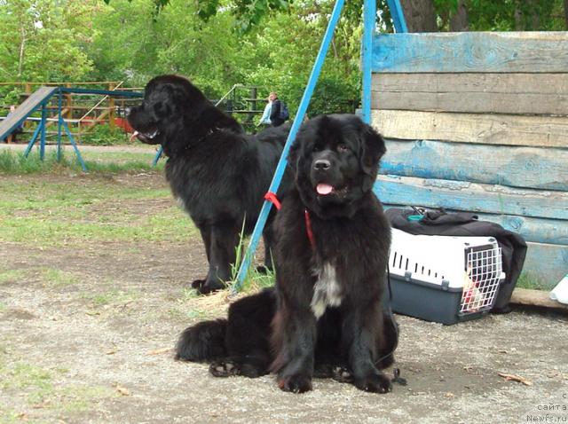 Фотография № 43266