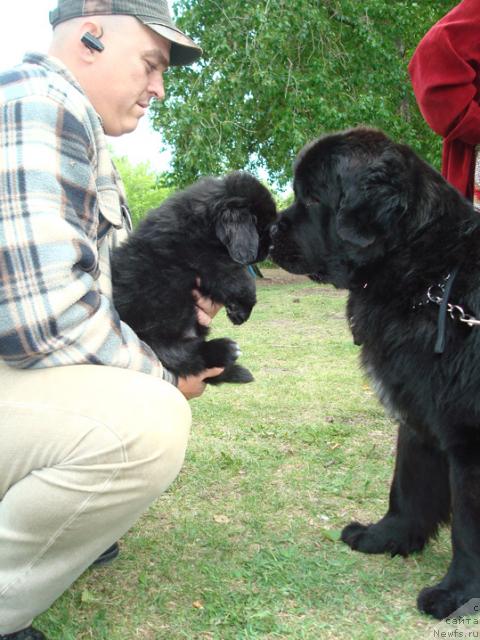 Фотография № 43268