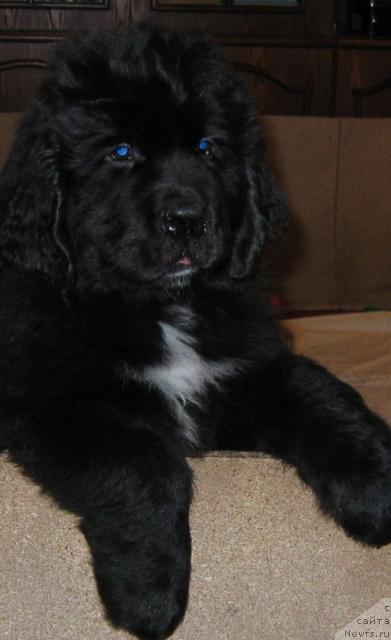 Фото: Leslley-Sia Flover