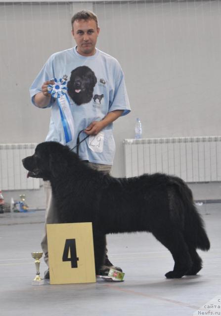 Фотография № 43275