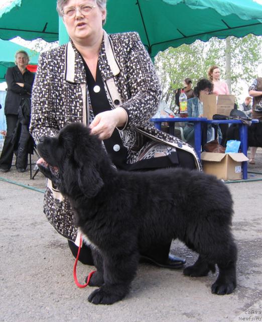 Фотография № 43303