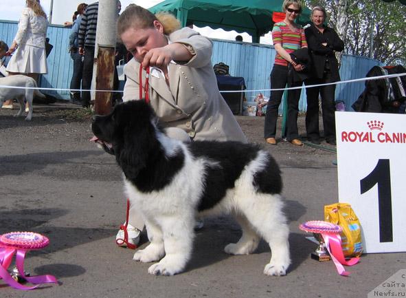 Фотография № 43304