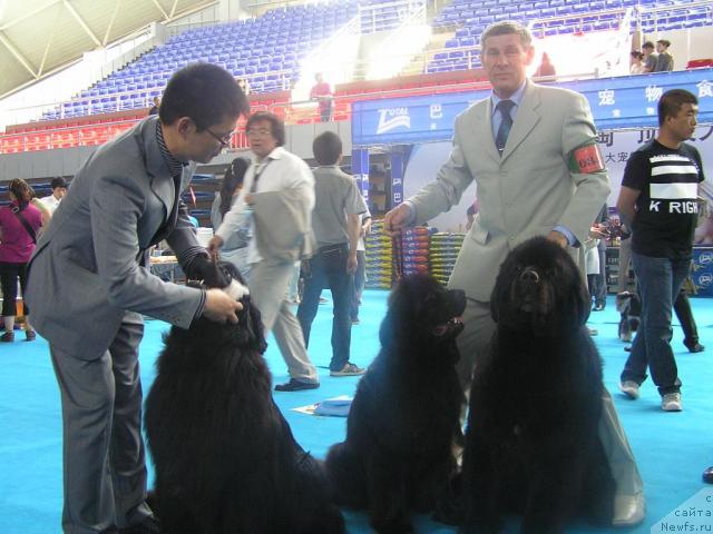 Фотография № 43342