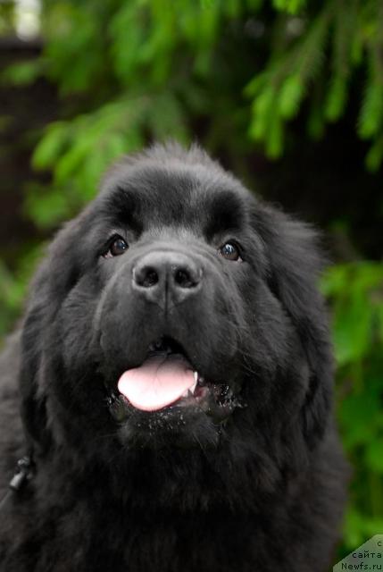 Фотография № 43352