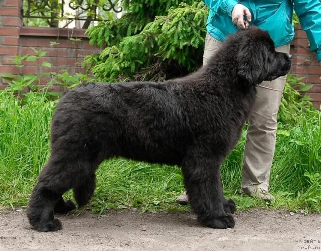 Фотография № 43360