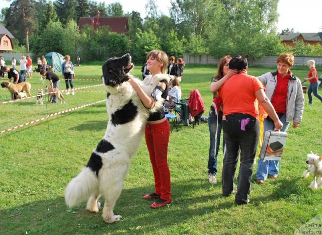 Фотография № 43363