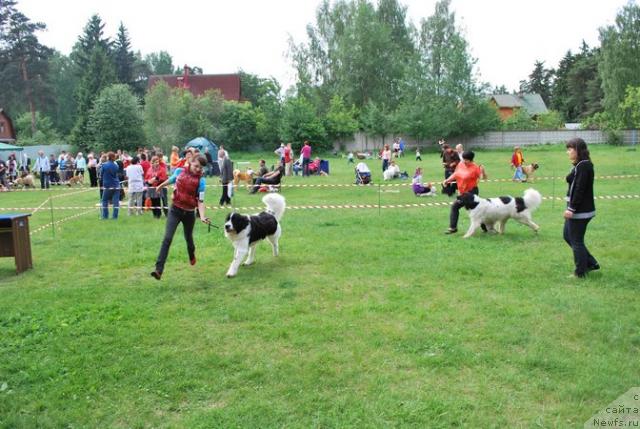 Фотография № 43365