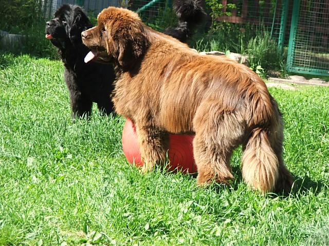 Фотография № 43374