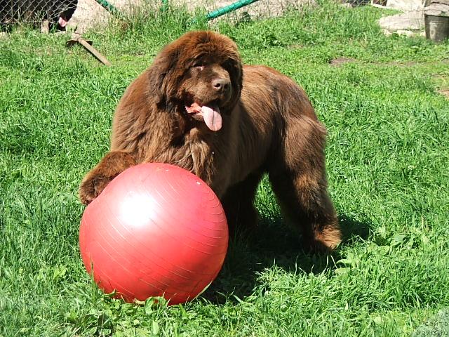 Фотография № 43377