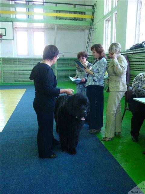 Фотография № 43380