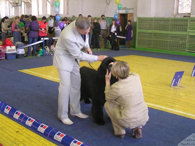 Фотография № 43381