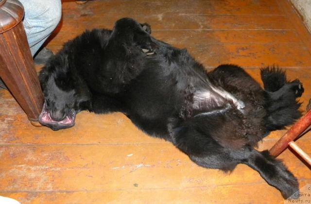 Фотография № 43414