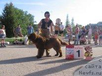 Фотография № 43437