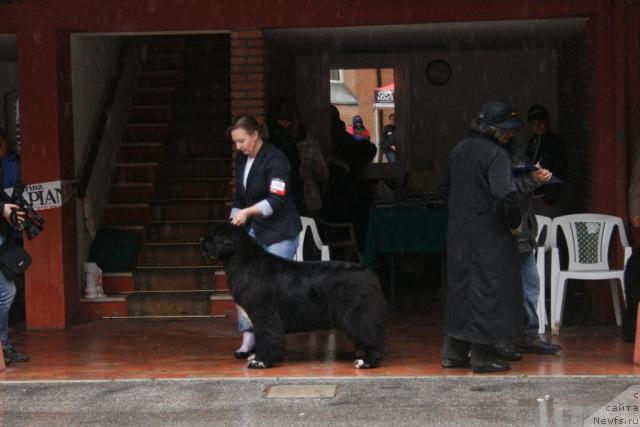 Фотография № 43442