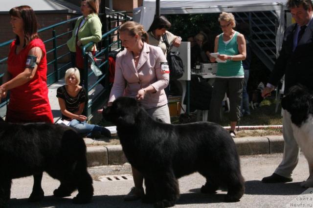 Фотография № 43443