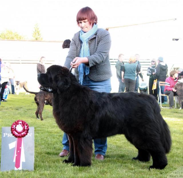 Фотография № 43467