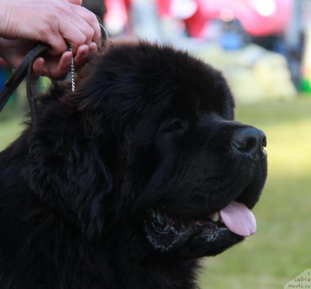 Фотография № 43469