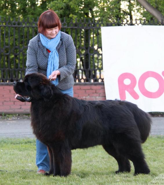 Фотография № 43470