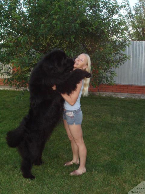 Фотография № 43517