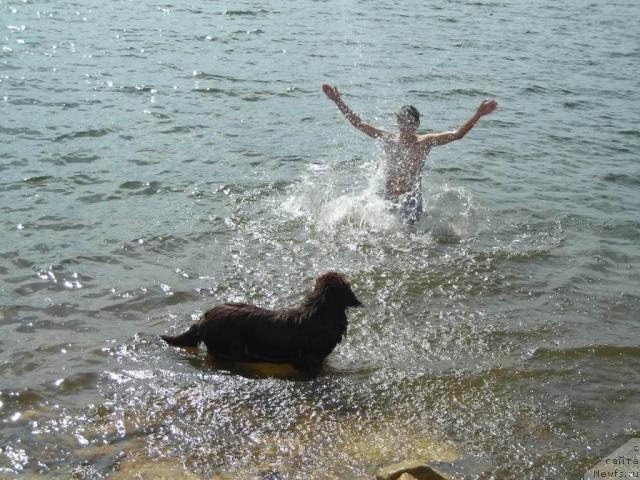 Фотография № 43561