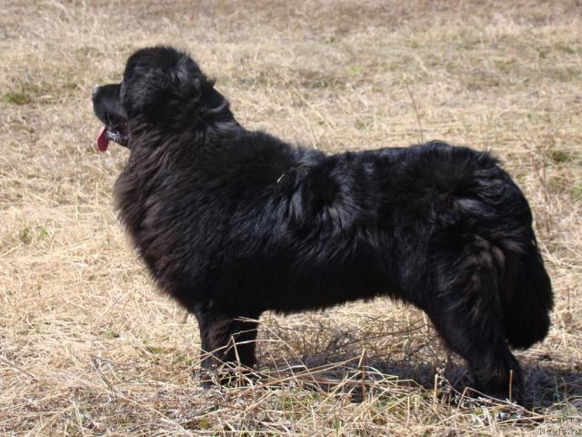 Фотография № 43577