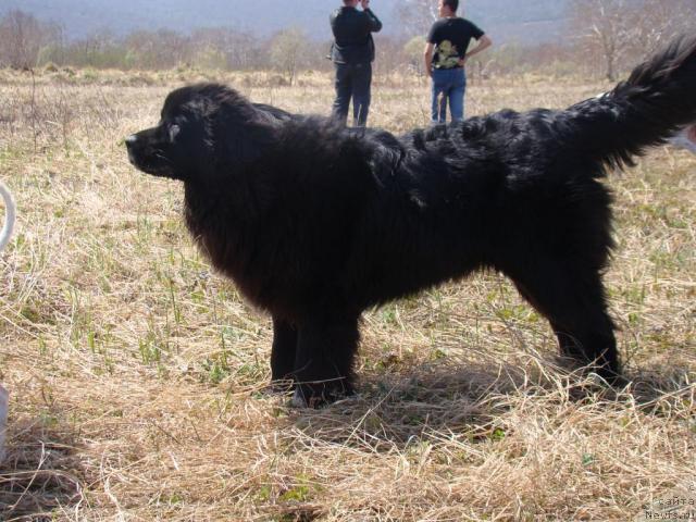 Фотография № 43578