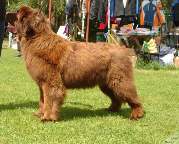 Фотография № 43581