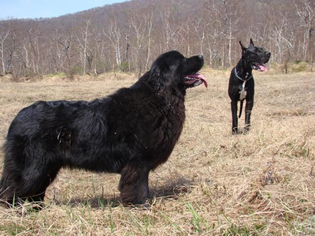 Фотография № 43583