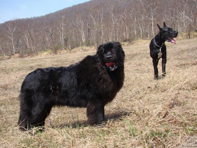 Фотография № 43584