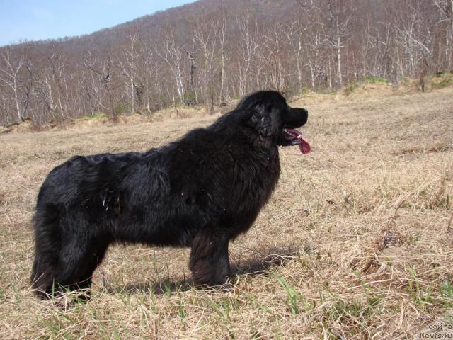 Фотография № 43587