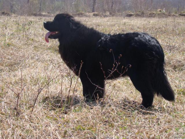 Фотография № 43589