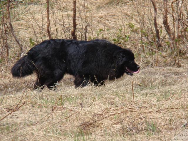 Фотография № 43591