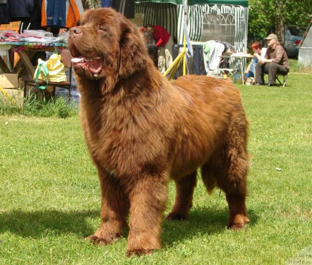 Фотография № 43629