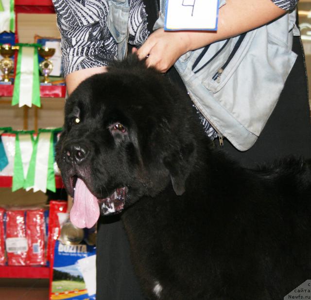 Фотография № 43654