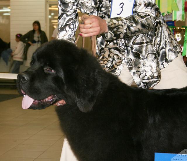 Фотография № 43656