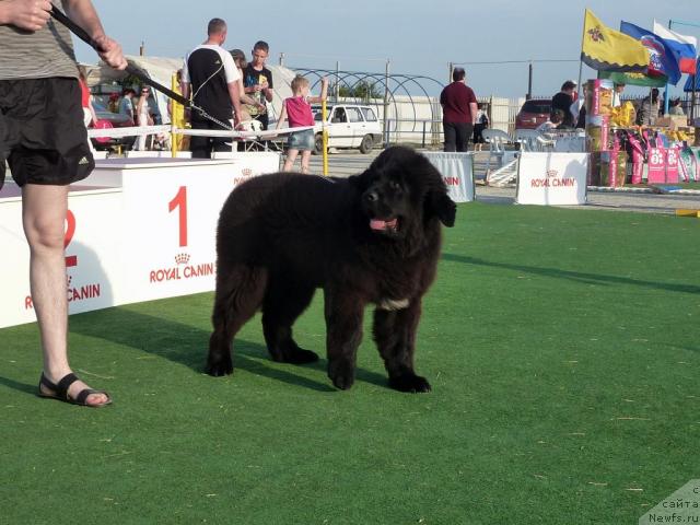 Фотография № 43657