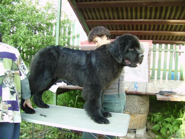 Фотография № 43659