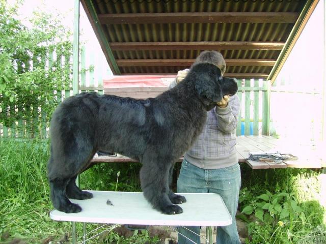 Фотография № 43661