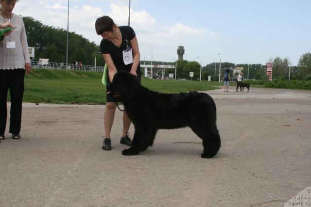 Фото: [d 9309]На ринге