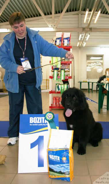 Фотография № 43680