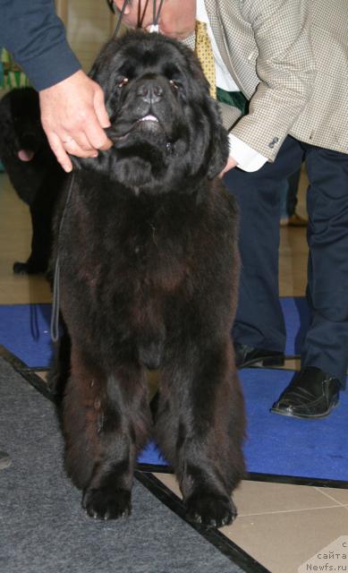 Фотография № 43685