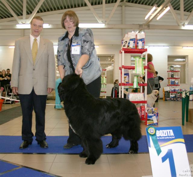 Фотография № 43689