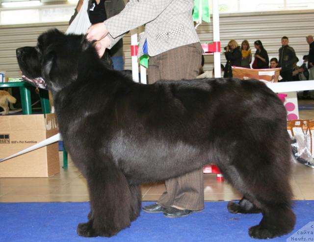 Фотография № 43693