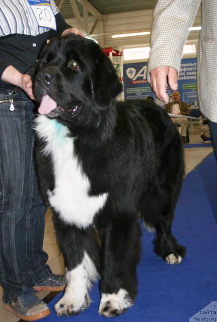 Фотография № 43694