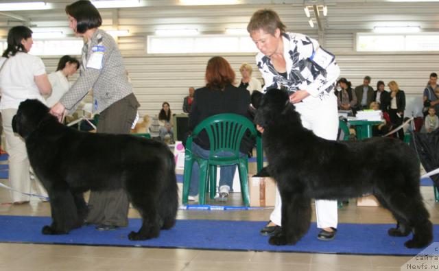 Фотография № 43700