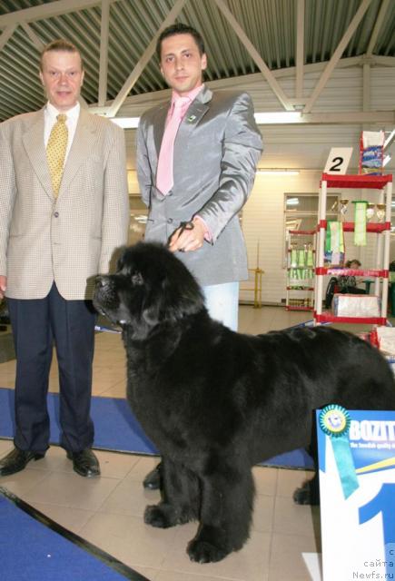 Фотография № 43701